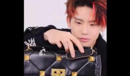 王琳凯新闻最新爆料视频,背后故事令人震惊